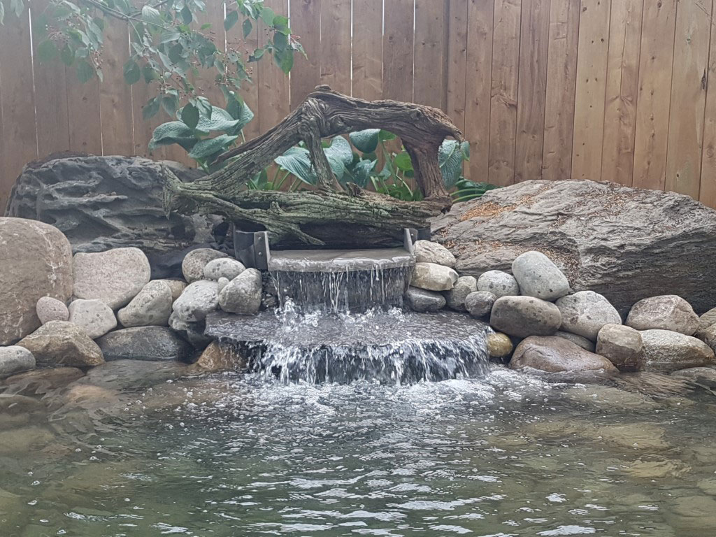 Outdoor Design Landscaping - Water Features